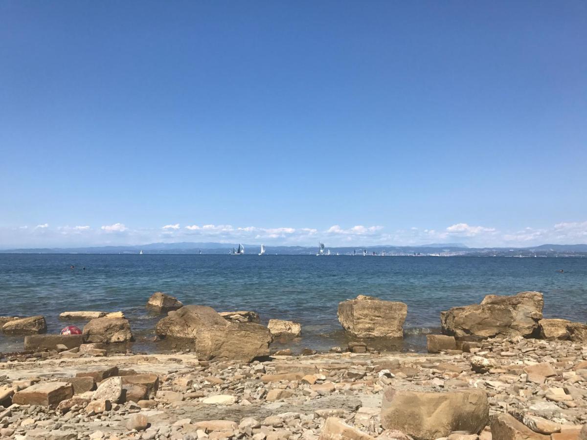 Apartma Marciana